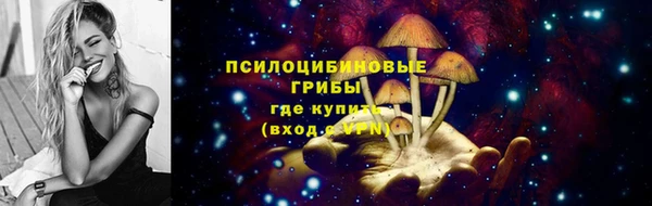 соль ск Балабаново