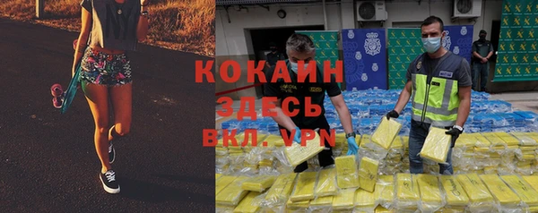 стаф Баксан