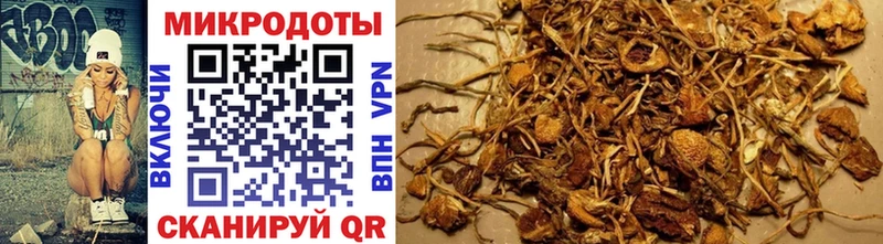 даркнет сайт Сафоново Псилоцибиновые грибы Psilocybe
